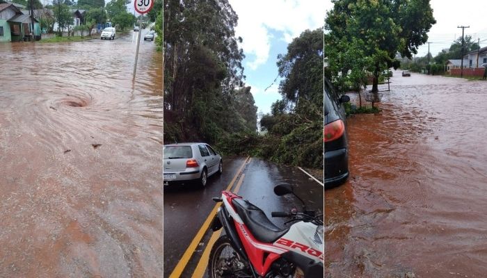 Quedas - Novo temporal causa transtornos e prejuízos no município 